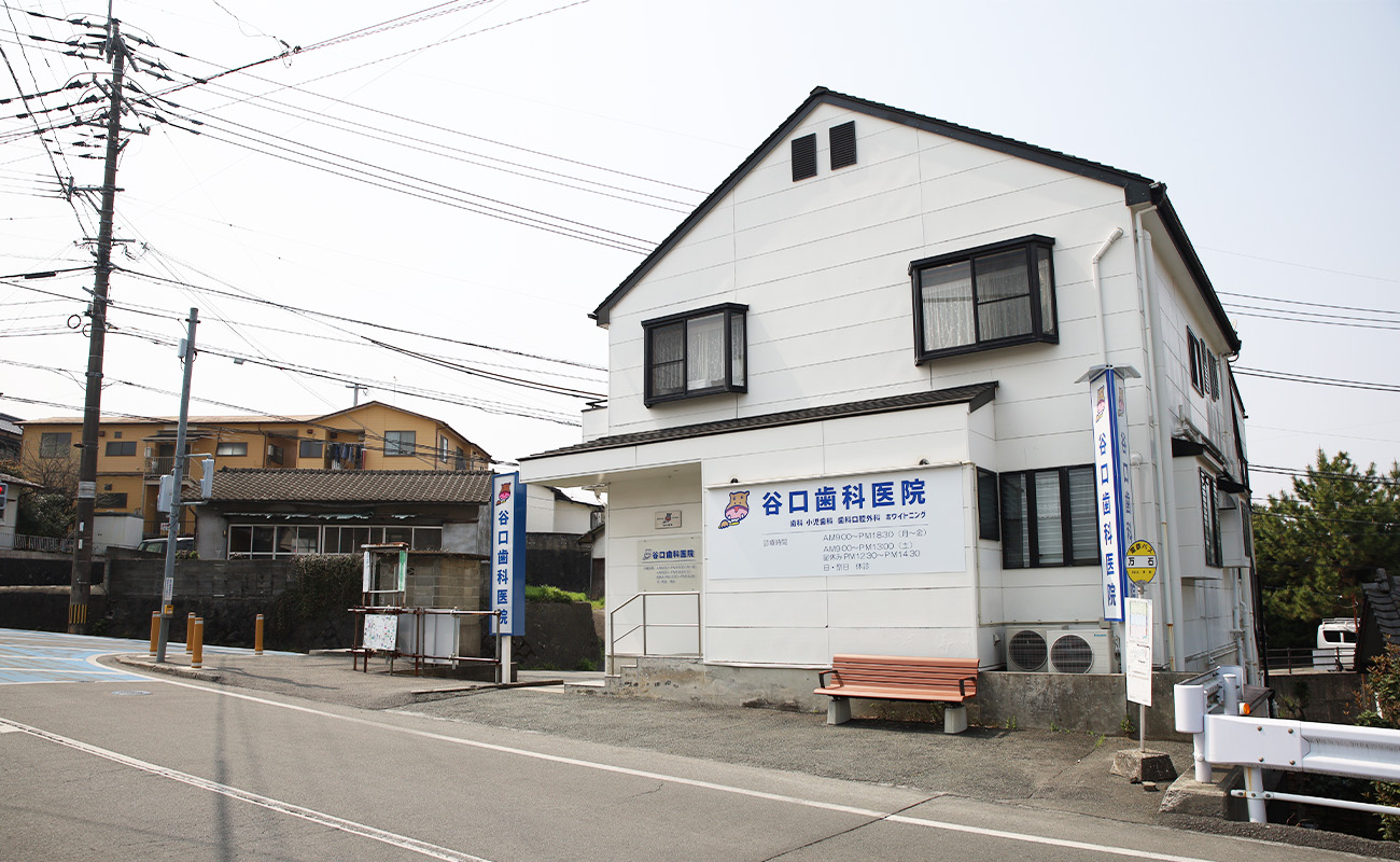 トップ